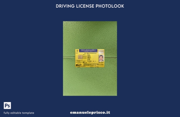 modello anteriore photolook per patente di guida statale India Bihar in stile ve